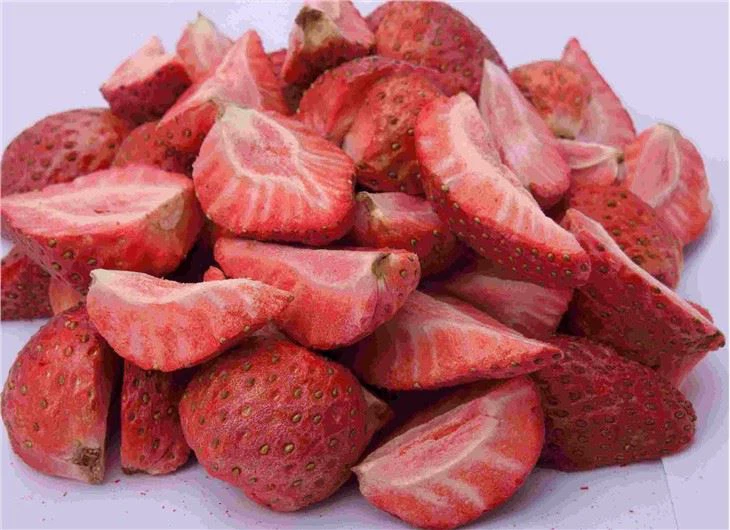 China Laboratory Freeze Dryer factory