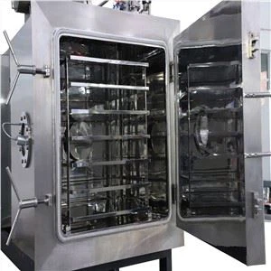 Liofilizador al vacío de alimentos para arándanos