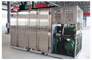 Congelador industrial de túnel de congelación rápida