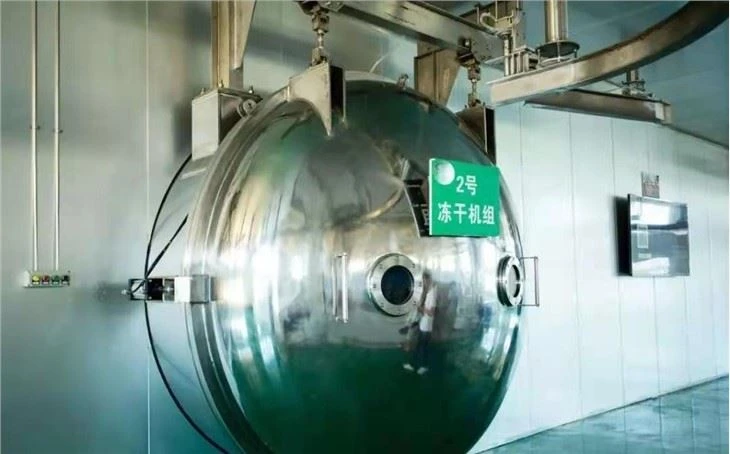 Customized Vacuum Food Freeze Dryer